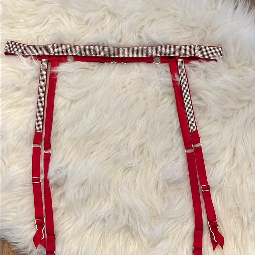 Victoria’s Secret Shine Garter Belt S NWOT